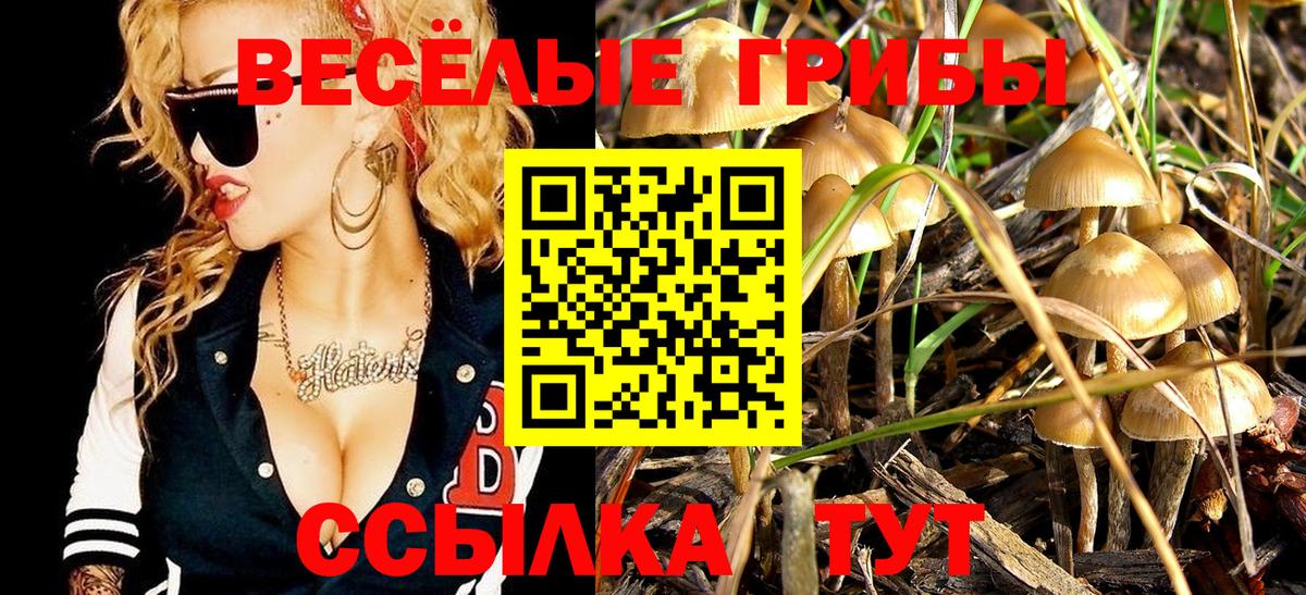 Псилоцибиновые грибы прущие грибы  Вход с VPN  Каменка  Псилоцибиновые грибы прущие грибы 