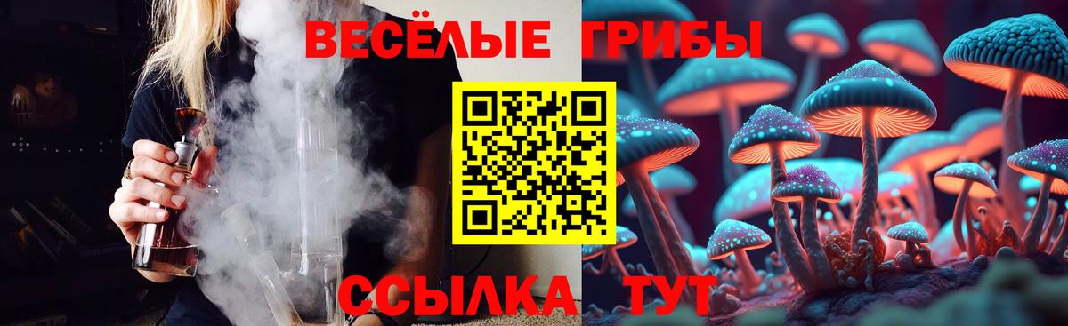 Псилоцибиновые грибы прущие грибы Каменка